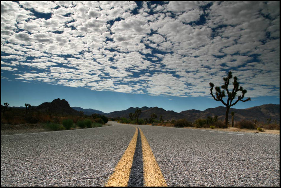 Joschua Tree National Park USA