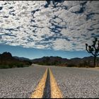 Joschua Tree National Park USA