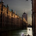 Jose Pavo at Speicherstadt Hamburg for Red Bull Cliffdive 08