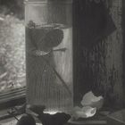 Josef Sudek - 07