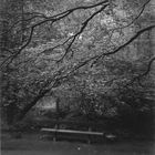 Josef Sudek - 08