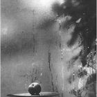 Josef Sudek - 14