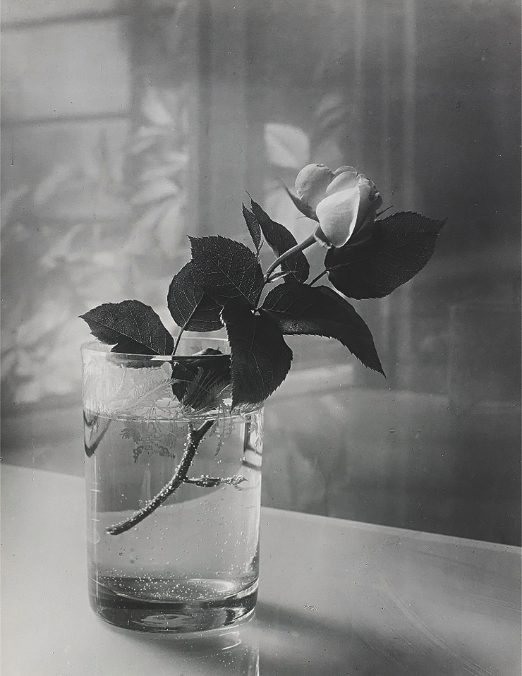 Josef Sudek - 19