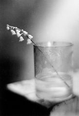 Josef Sudek - 21