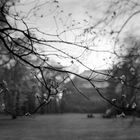 Josef Sudek - 22