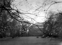 Josef Sudek - 22