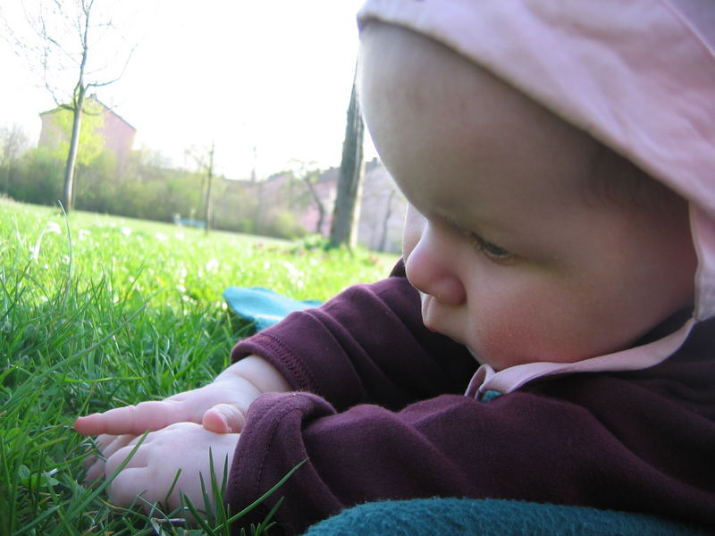 Josephine entdeckt Gras
