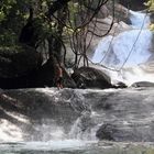 josephine falls