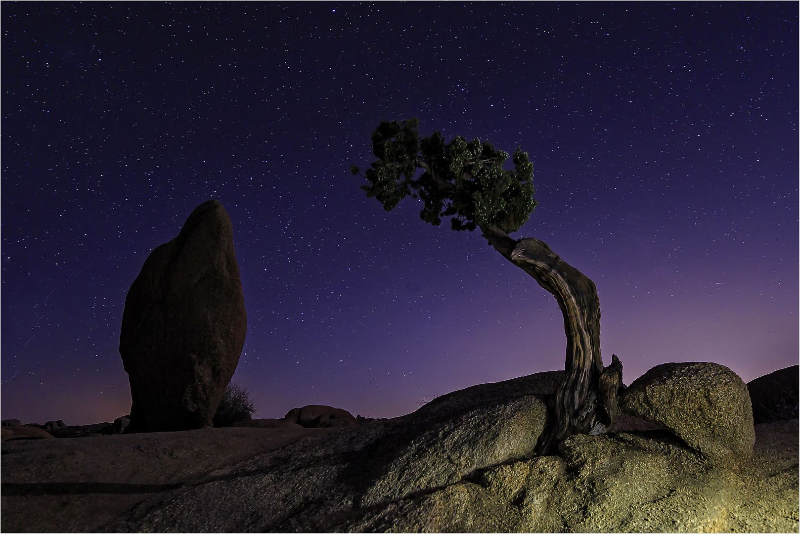 Joshua Tree 2