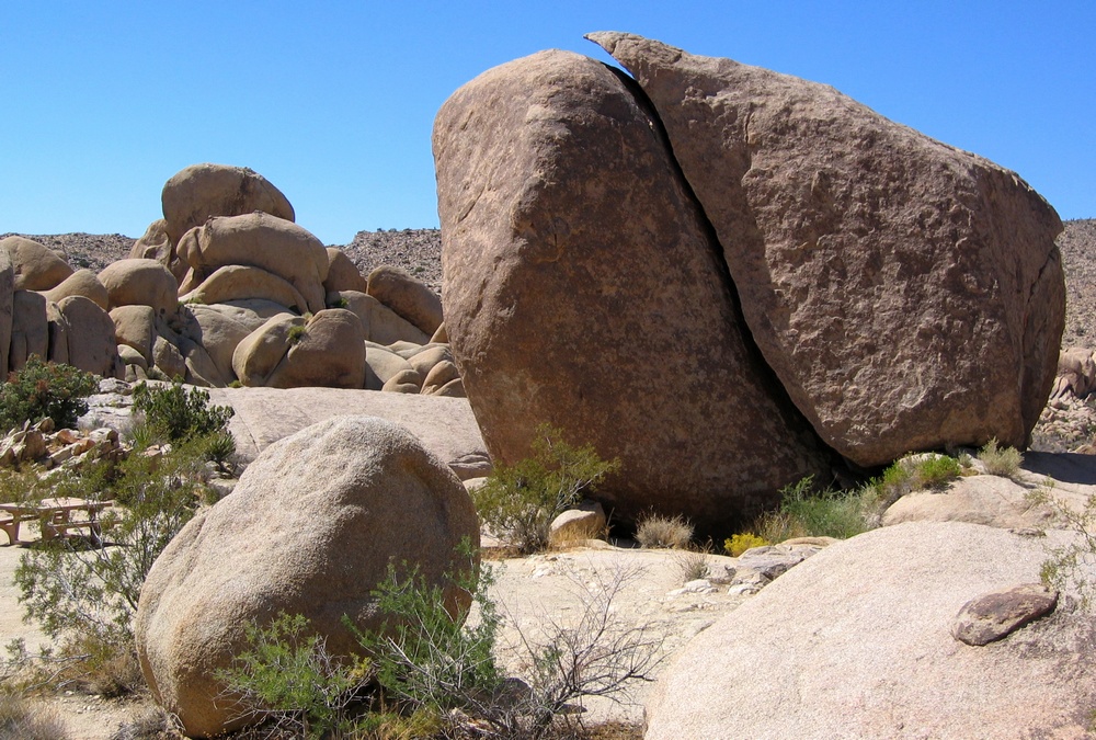 Joshua Tree