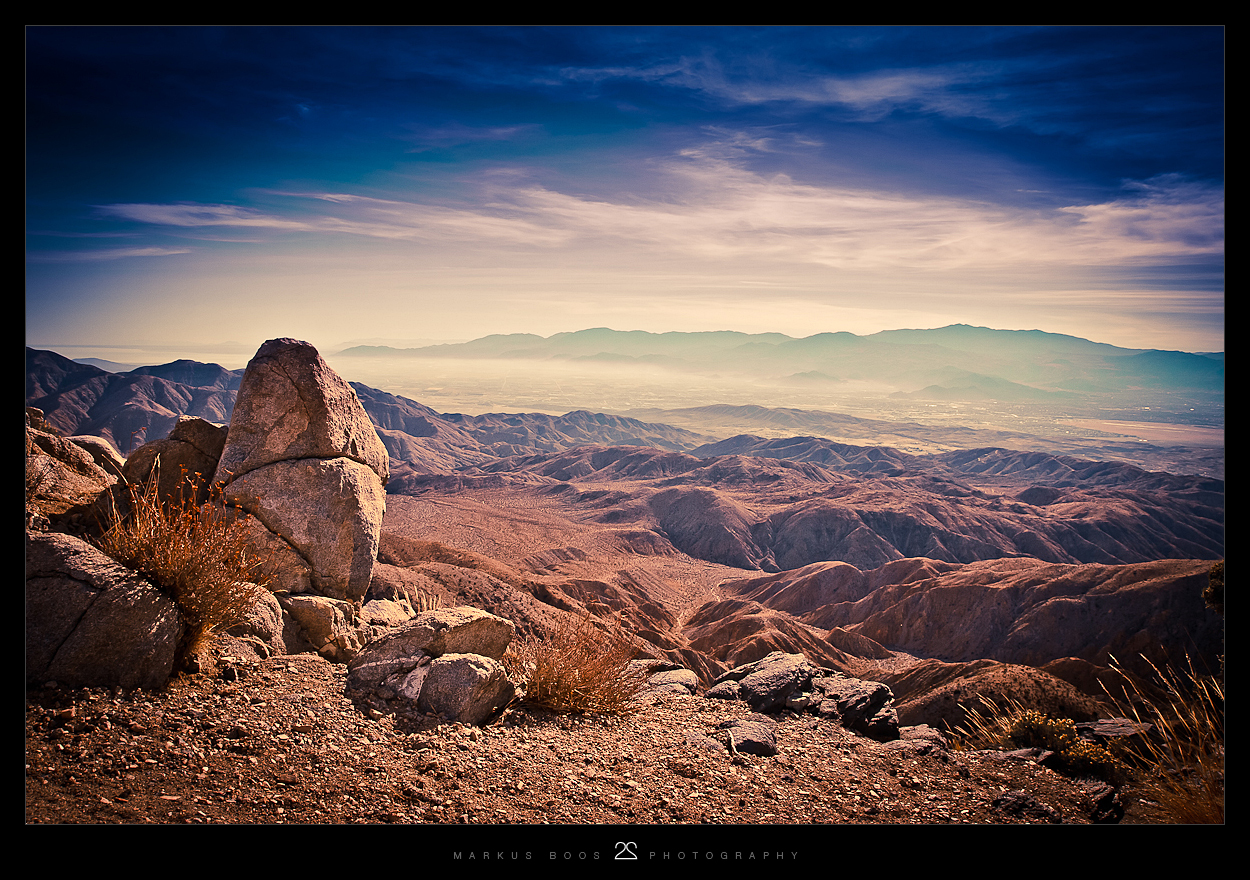 Joshua Tree