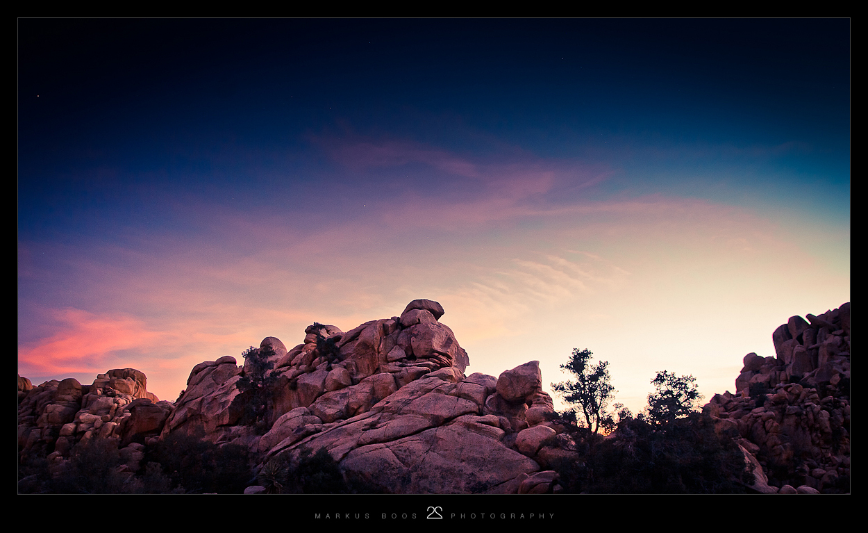 Joshua Tree 5