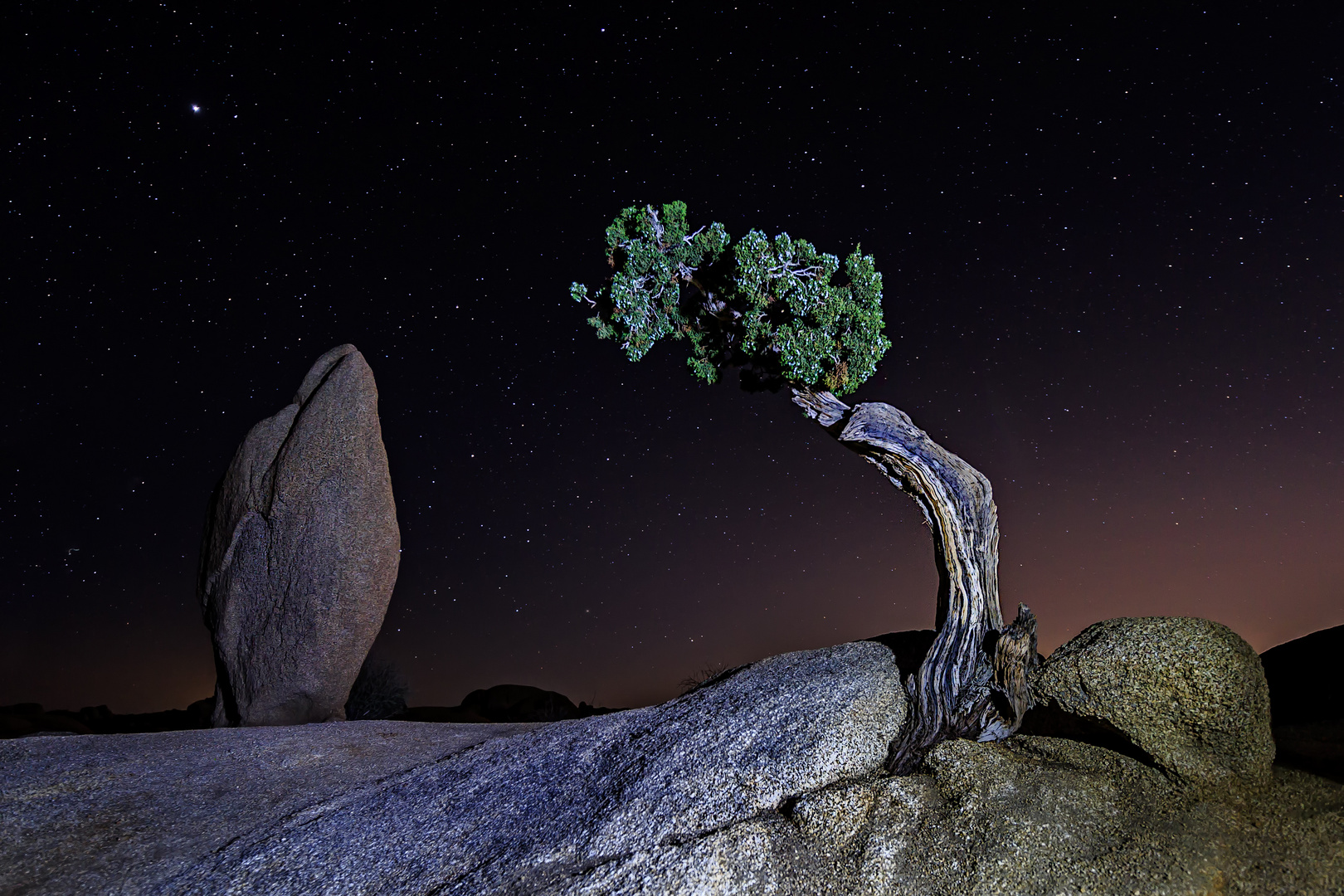 Joshua Tree