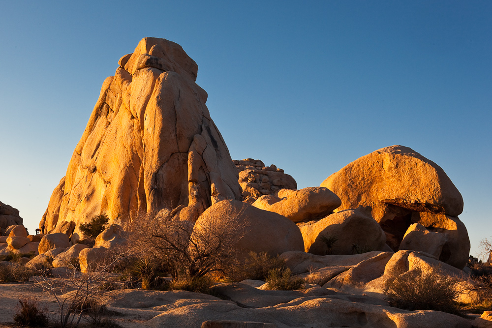 Joshua Tree