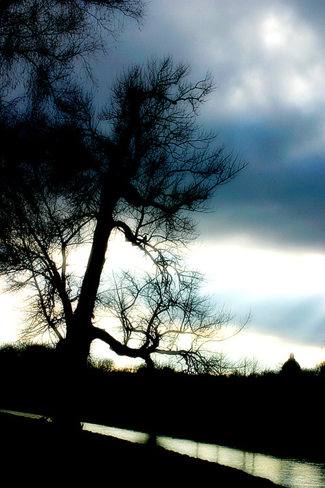 Joshua Tree...