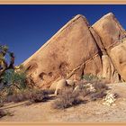 Joshua Tree National Park