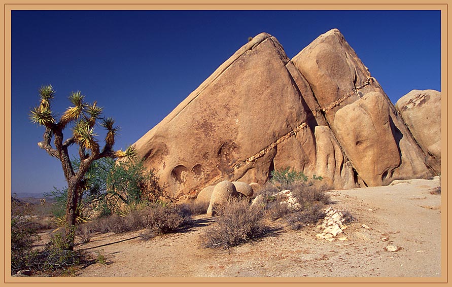 Joshua Tree National Park