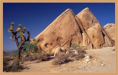 Joshua Tree National Park