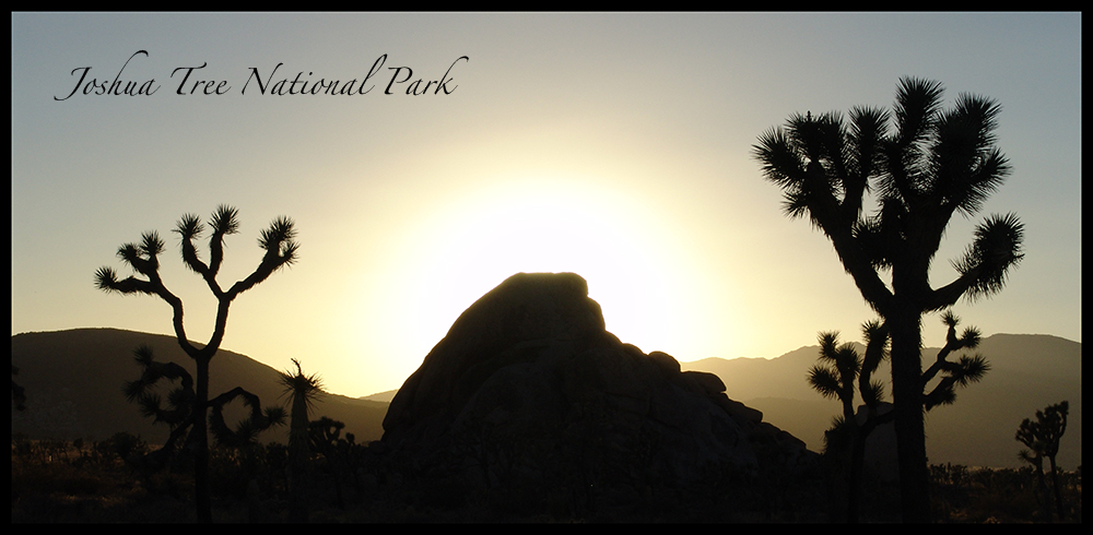 Joshua Tree National Park