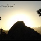 Joshua Tree National Park