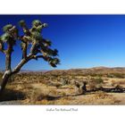 Joshua Tree National Park