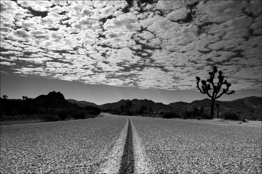 Joshua Tree National Park