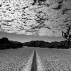 Joshua Tree National Park