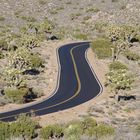 Joshua Tree National Park