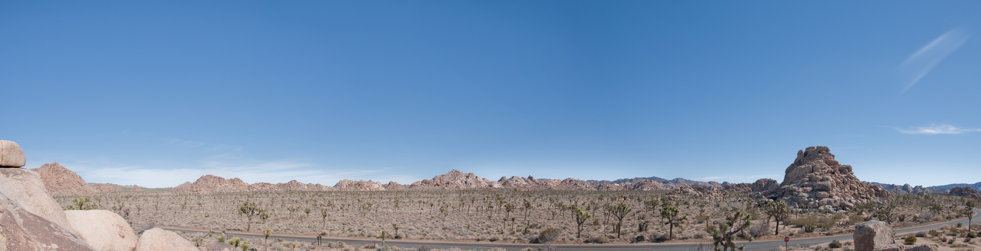 Joshua Tree National Park