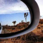 Joshua Tree National Park