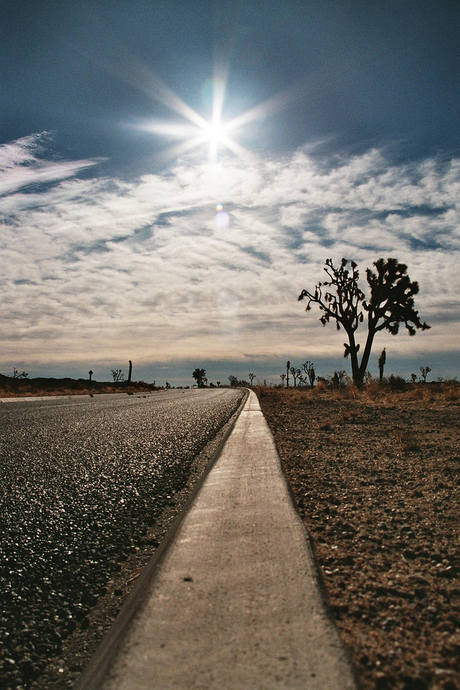 Joshua Tree National Park