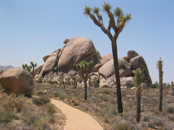 Joshua Tree National Park