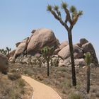 Joshua Tree National Park