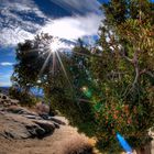 Joshua Tree National Park