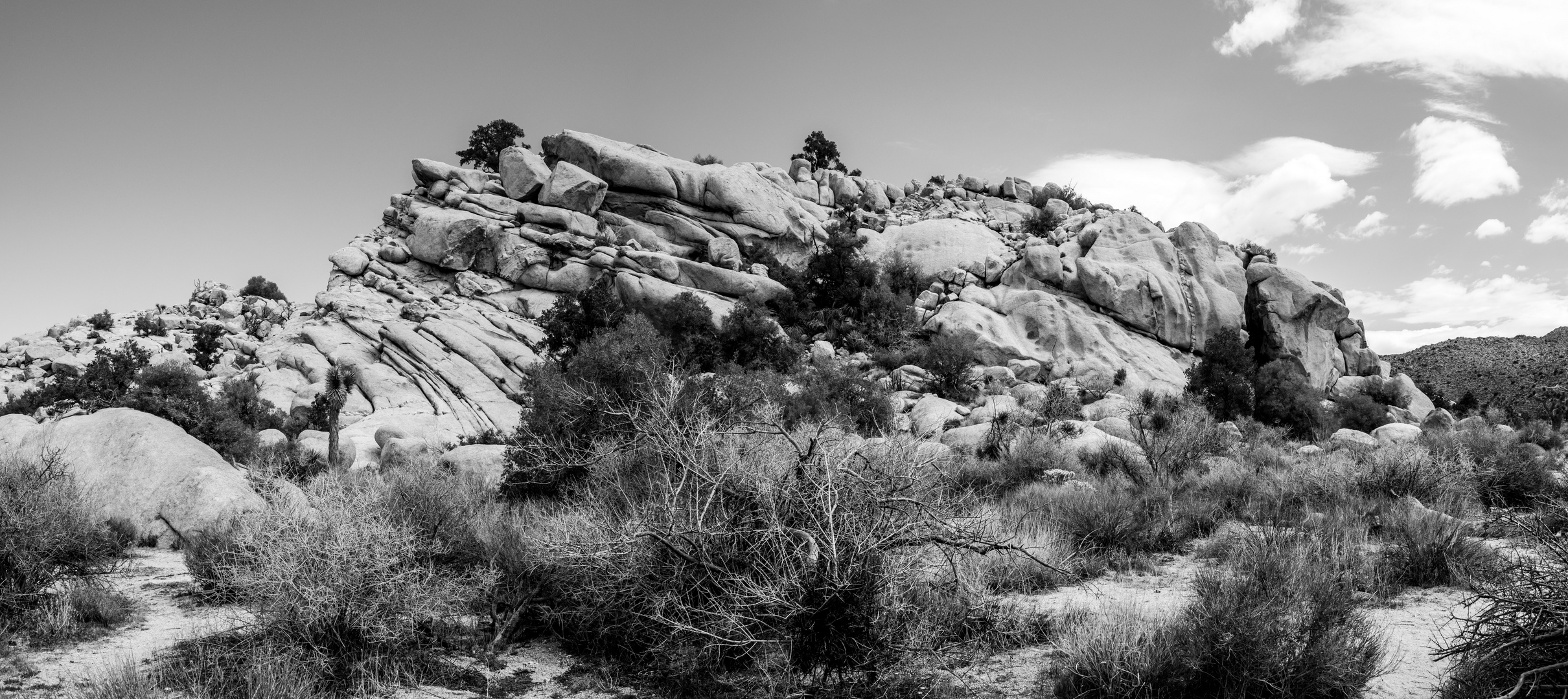 Joshua Tree National Park