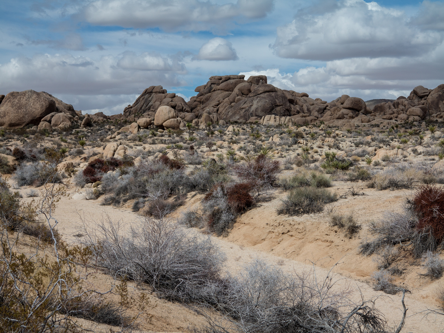 Joshua Tree National Park