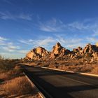 Joshua Tree National Park