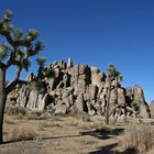 Joshua Tree National Park in Californien