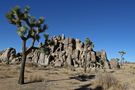 Joshua Tree National Park in Californien von Jens Cüppers