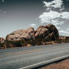 Joshua Tree National Park - USA 1/6