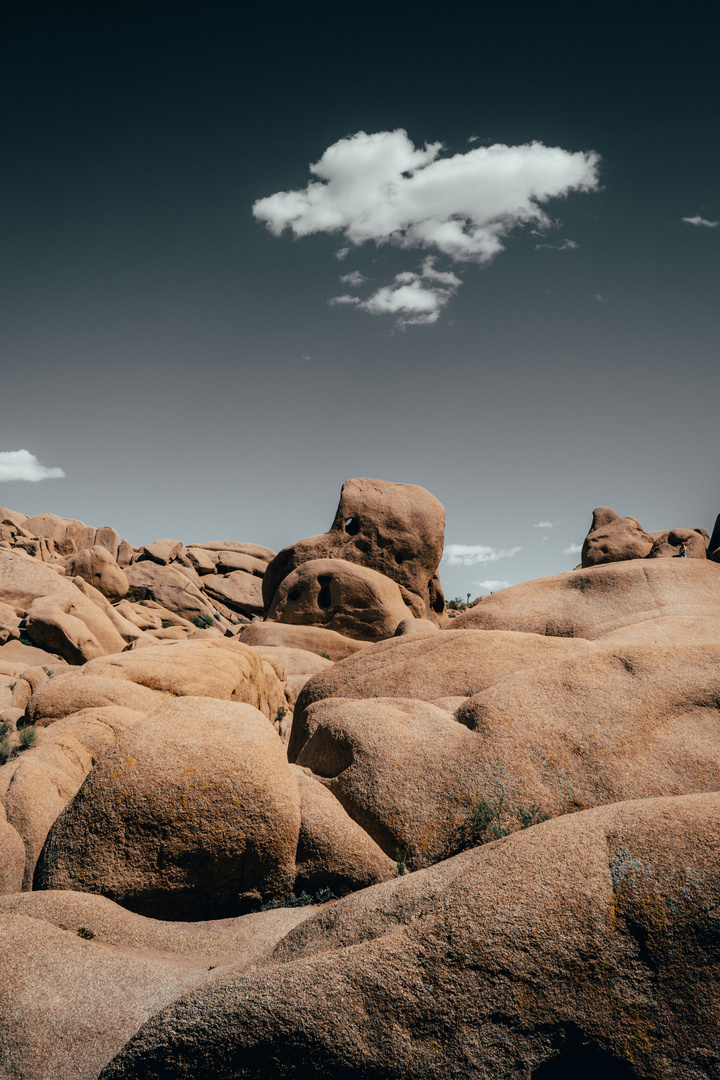 Joshua Tree National Park - USA 3/6