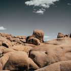 Joshua Tree National Park - USA 3/6