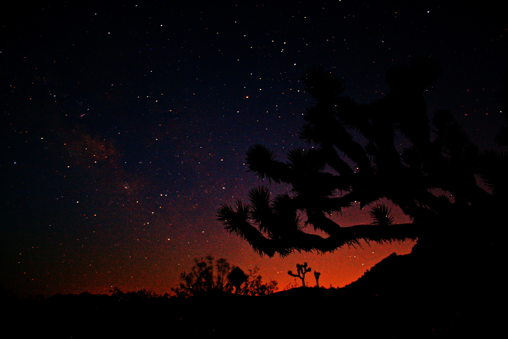 Joshua-Tree-Nationalpark