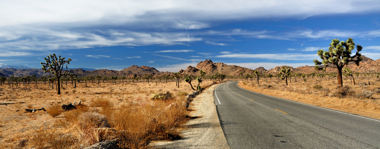 Joshua-Tree-Nationalpark