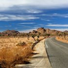 Joshua-Tree-Nationalpark