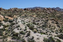 Joshua Tree-Nationalpark