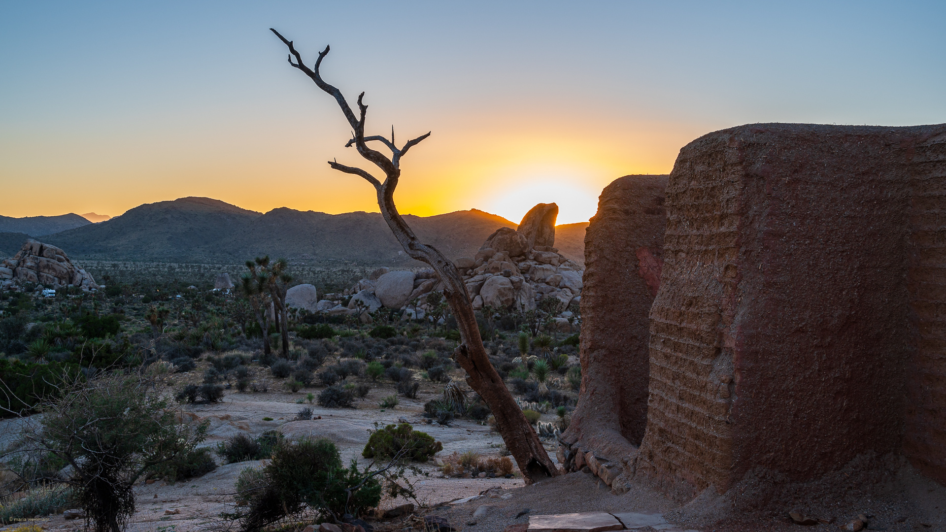 Joshua Tree Nationalpark