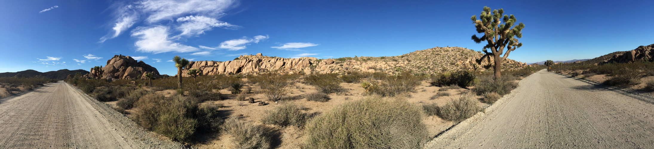 Joshua Tree Nationalpark