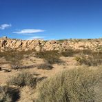 Joshua Tree Nationalpark