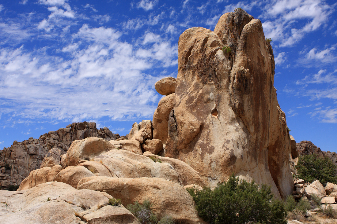 Joshua Tree Nationalpark, California